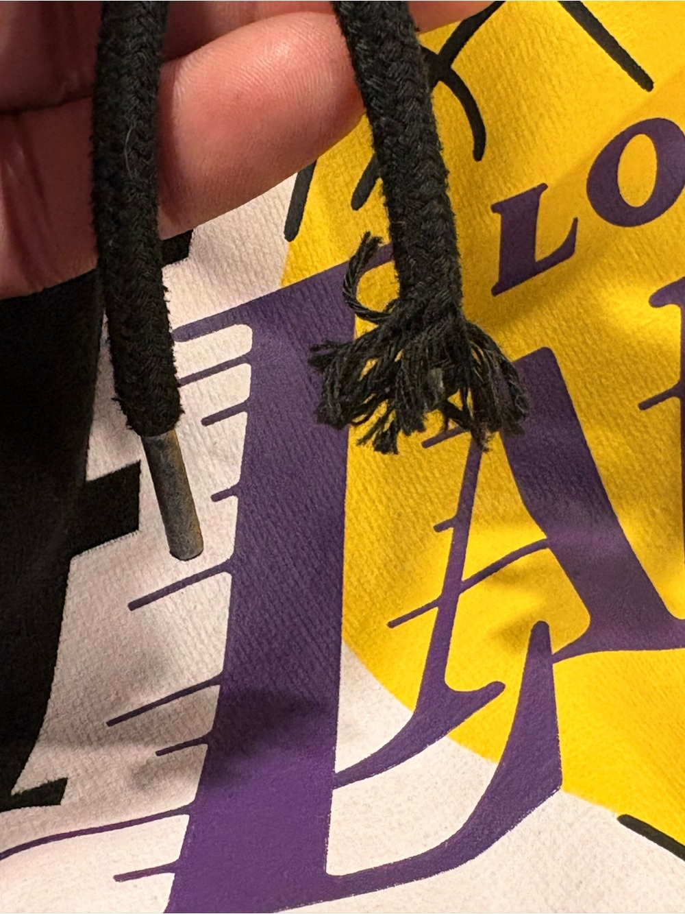 LA Lakers Black Pullover Hoodie - Picture 13 of 14